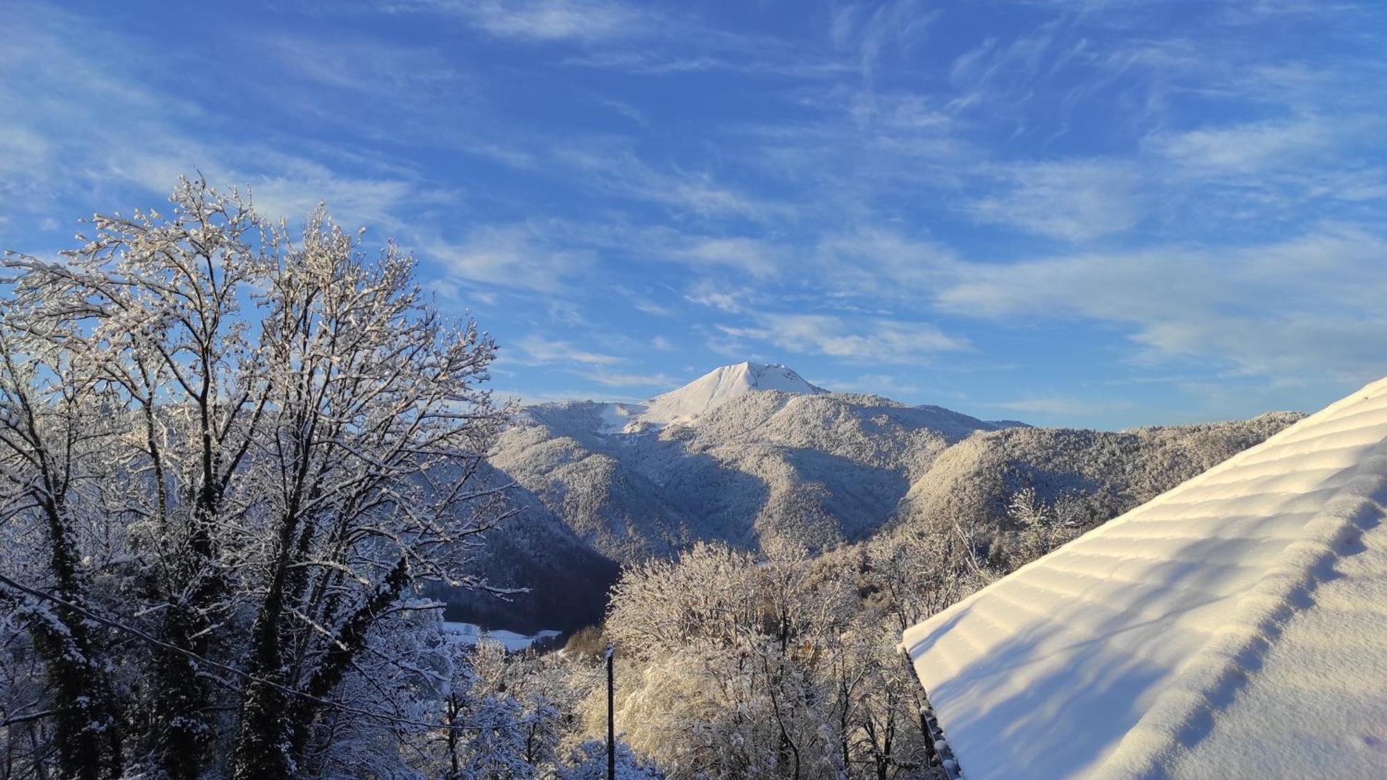 L'Echappee Belle En Montagne - Site Location-Chalet Mieussy Екстериор снимка
