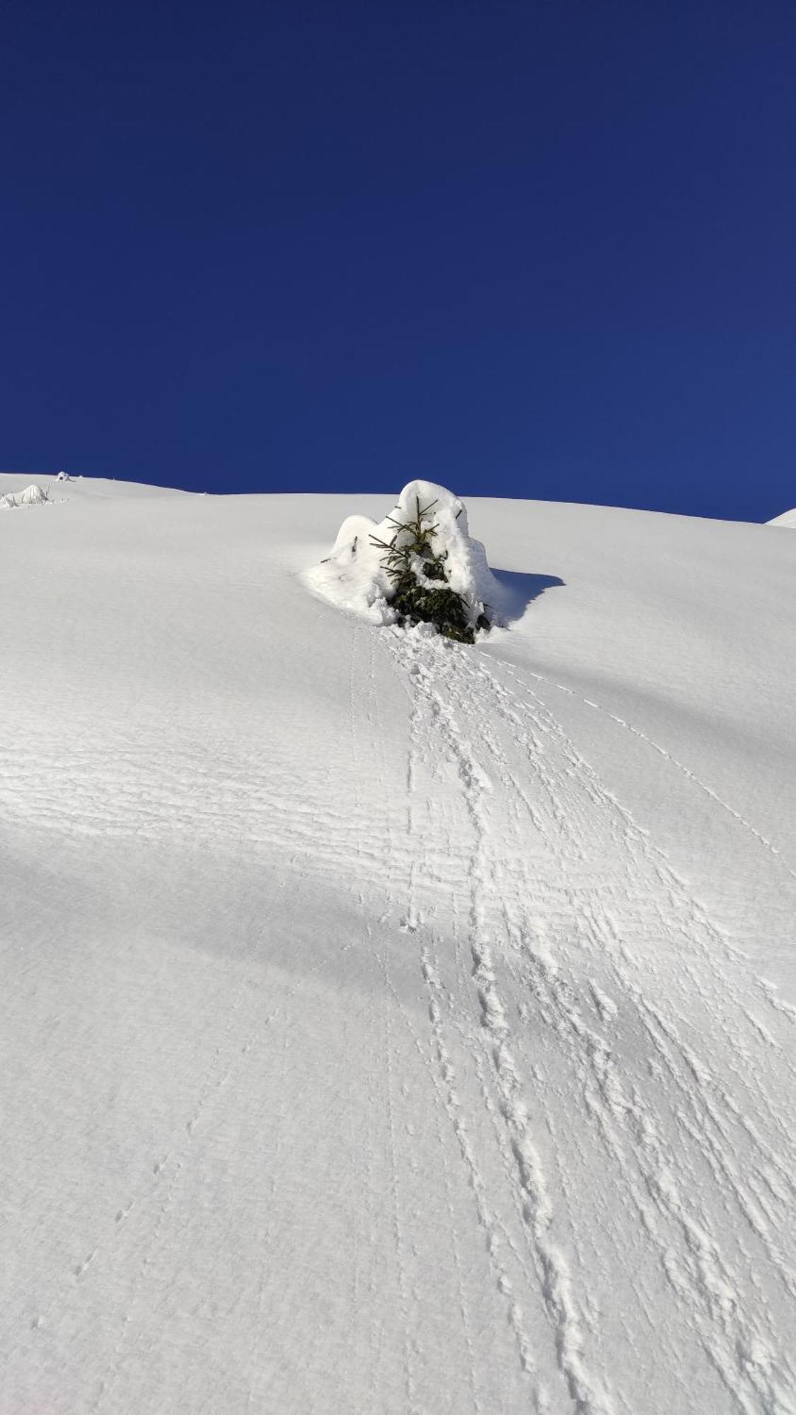L'Echappee Belle En Montagne - Site Location-Chalet Mieussy Екстериор снимка