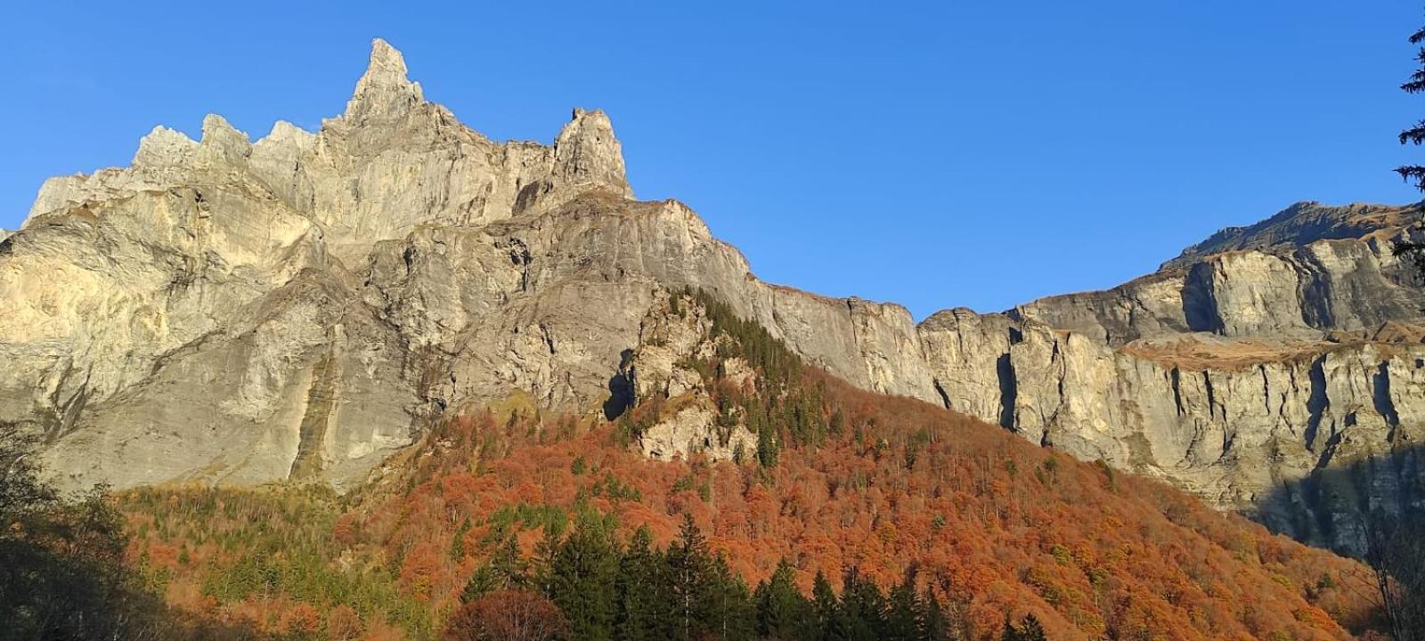 L'Echappee Belle En Montagne - Site Location-Chalet Mieussy Екстериор снимка